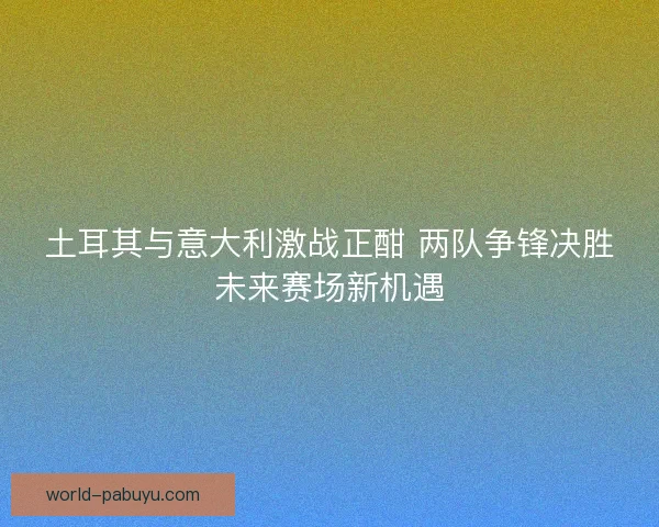 土耳其与意大利激战正酣 两队争锋决胜未来赛场新机遇